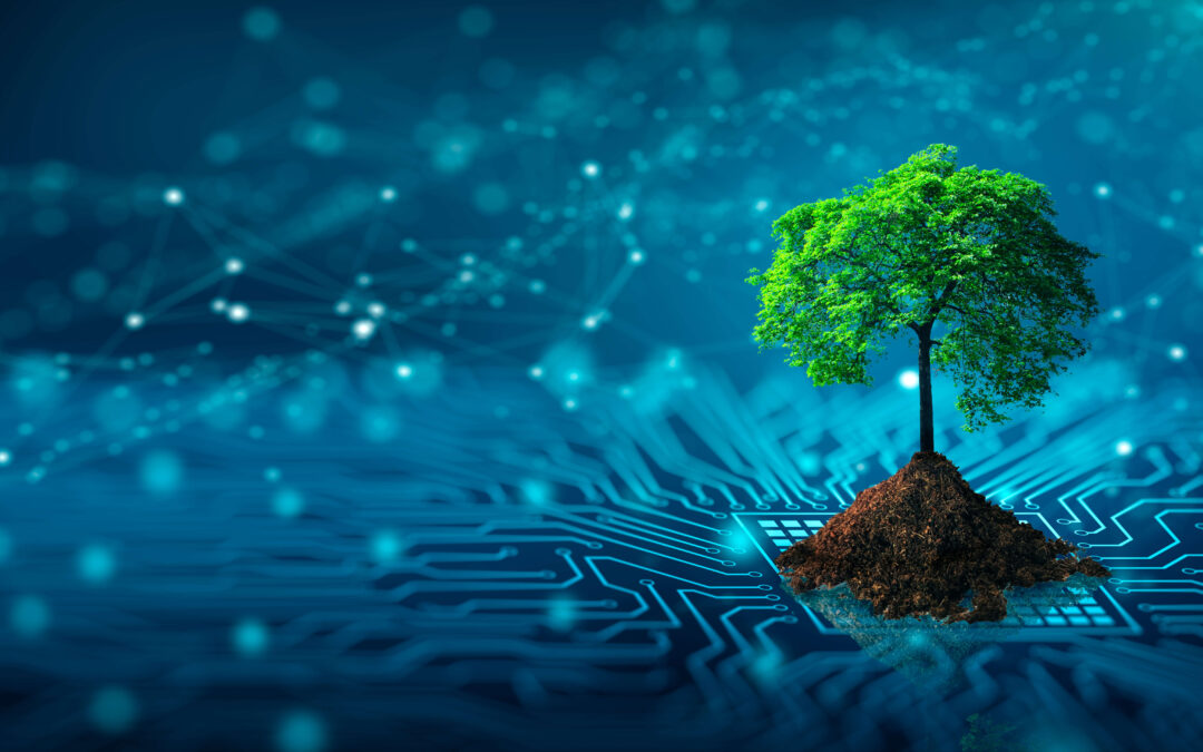 Willkommen in der Welt der Green IT